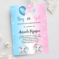 Gender reveal baby shower blue pink boy girl
