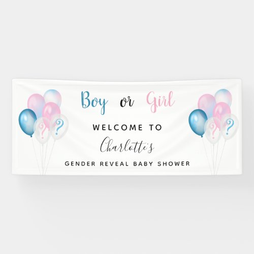 Gender reveal baby shower boy girl blue pink white banner