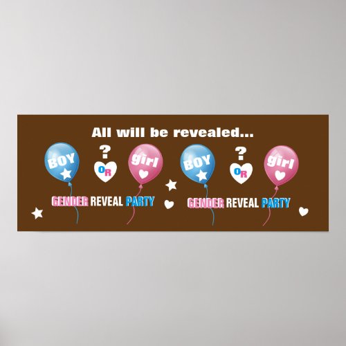 Gender Reveal Baby Shower Boy Girl Pink Blue A01A Poster