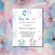 Gender reveal baby shower budget invitation flyer