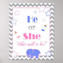 Gender reveal baby shower he or she baby welcome poster