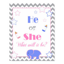 Gender reveal baby shower he or she baby welcome poster