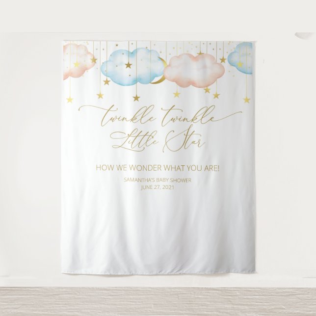 Gender Reveal Backdrop, Moon and Stars (Front)