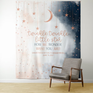 Gender Reveal Backdrop, Twinkle Little Star Banner