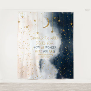 Gender Reveal Backdrop, Twinkle Little Star Banner