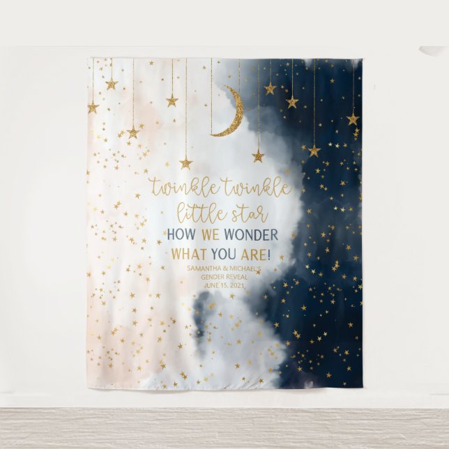 Gender Reveal Backdrop, Twinkle Little Star Banner (Front)