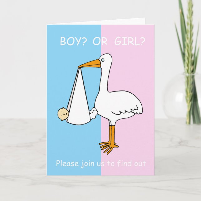 Gender Reveal Gender Reveal Party Invitation (Front)
