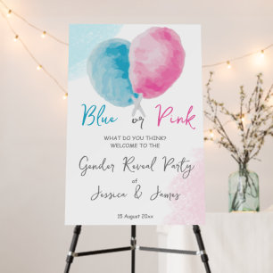 Gender reveal party blue or pink welcome sign