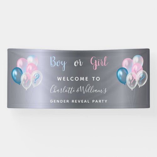 Gender reveal party boy girl blue pink silver banner
