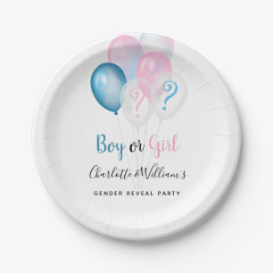 Gender reveal party boy girl blue pink white paper plates