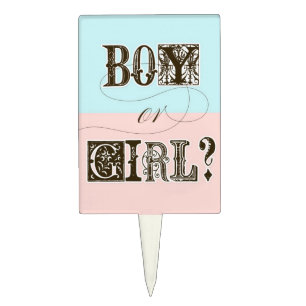 Gender Reveal Party Cake Topper Boy or Girl?