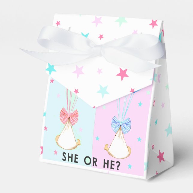 Gender Reveal Party Favor Boxes (Front Side)