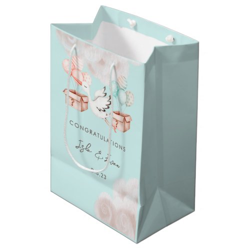 Gender Reveal Party Gift Bag