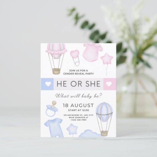 gender reveal party he or she blue or pink (Standing Front)