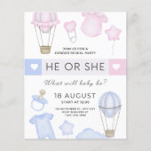 gender reveal party he or she blue or pink (Front)