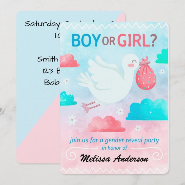 Gender Reveal Party Holiday Card (Front/Back)