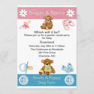 Gender Reveal Party Invitation