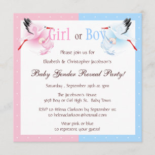 Gender Reveal Party Stork Delivering Baby Invitation
