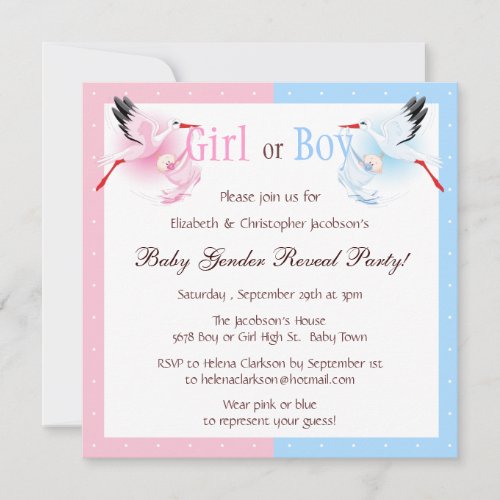 Gender Reveal Party Stork Delivering Baby Invitation