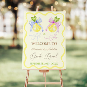 Gender Reveal Pink Blue Bow Lemon Welcome Sign