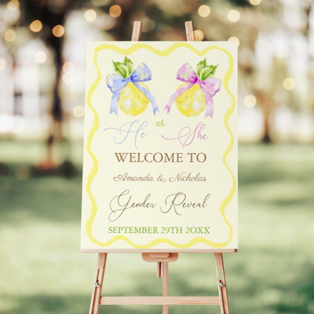 Gender Reveal Pink Blue Bow Lemon Welcome Sign (Creator Uploaded)