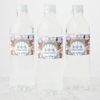 Gender Reveal Pink Blue Gingham Baby Q BBQ