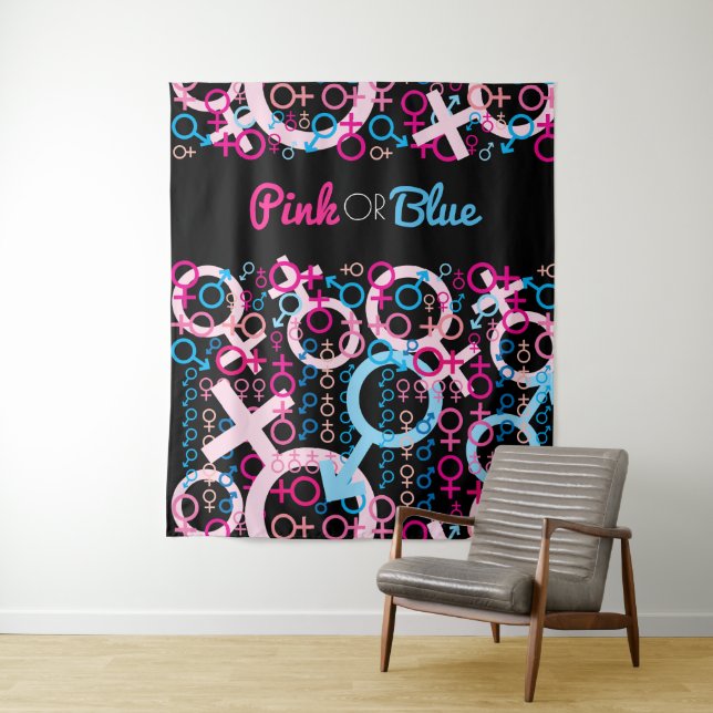 GENDER REVEAL Pink or Blue Baby Photo Op Backdrop (In Situ)