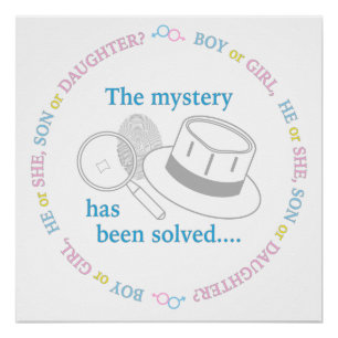 Gender Reveal Poster