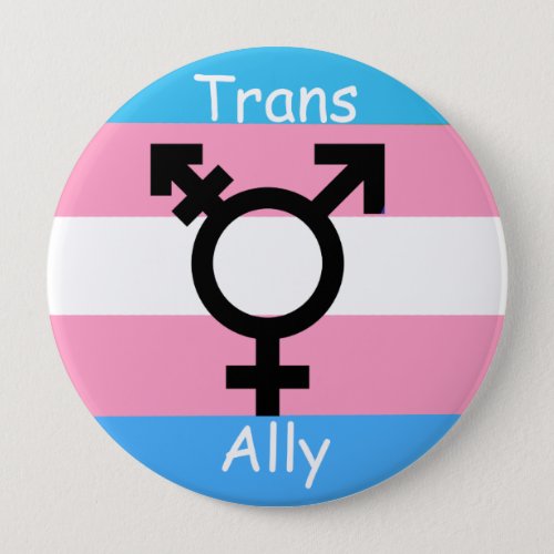 Gender Revolution LGBTQ Transgender Awareness Ally Pinback Button