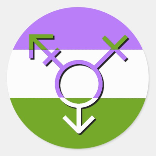 Gender Revolution LGBTQA Genderqueer Non_Binary Classic Round Sticker