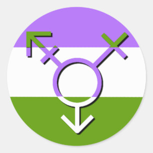 Gender Revolution LGBTQA Genderqueer Non-Binary Classic Round Sticker