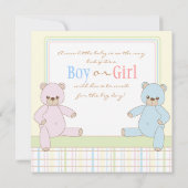 Gender Surprise Teddy Bears Baby Shower Invitation (Back)