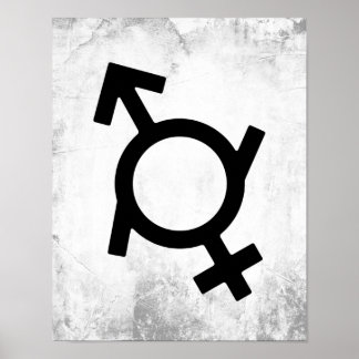 Genderfluid Female and Male Gender Symbol Poster