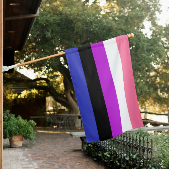 Genderfluid Flag (In SItu)