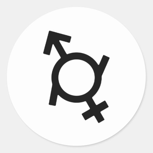 Genderfluid Gender Symbol Classic Round Sticker