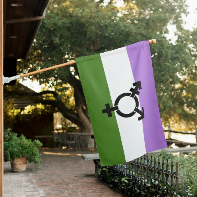 Genderqueer Pride Flag (In SItu)