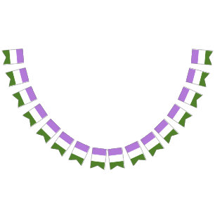 Genderqueer pride flag banner