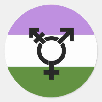 Genderqueer Pride Flag Classic Round Sticker