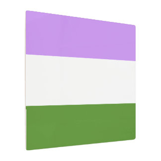 Genderqueer Pride Flag Metal Print