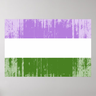 Genderqueer Pride Flag Poster