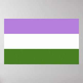 Genderqueer Pride Flag Poster