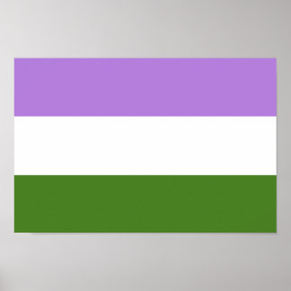 Genderqueer Pride Flag Poster