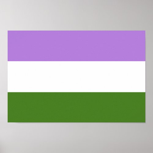 Genderqueer Pride Flag Poster