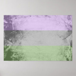Genderqueer Pride Flag Poster