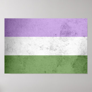 Genderqueer Pride Flag Poster