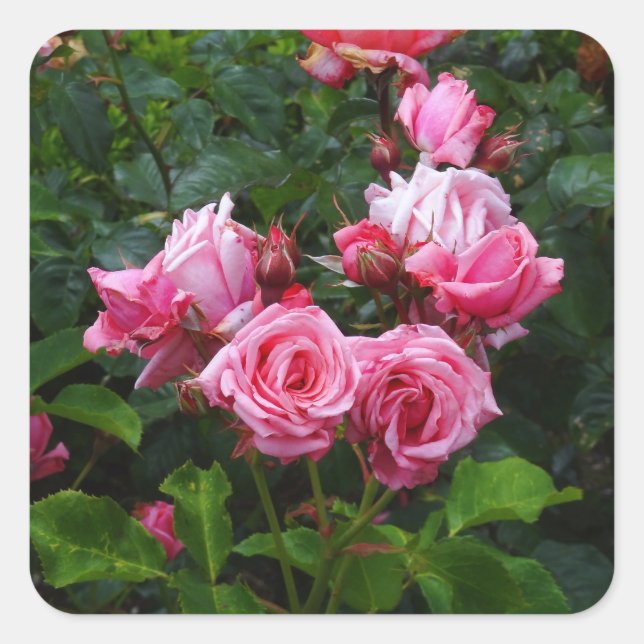 Gene Boerner Rose #1 Stickers (Front)