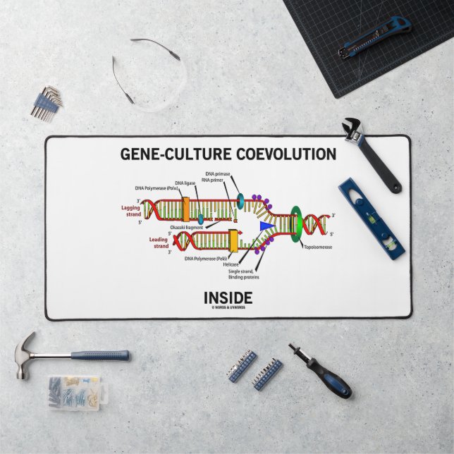 Gene-Culture Coevolution Inside DNA Replication Desk Mat (Workstation)