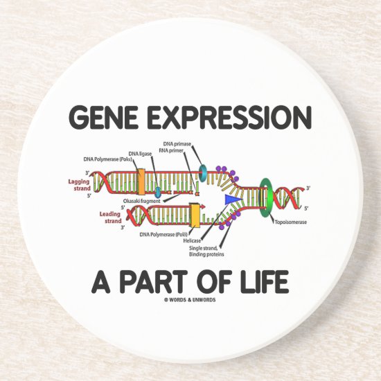 Gene Expression A Part Of Life (DNA Replication) Coaster