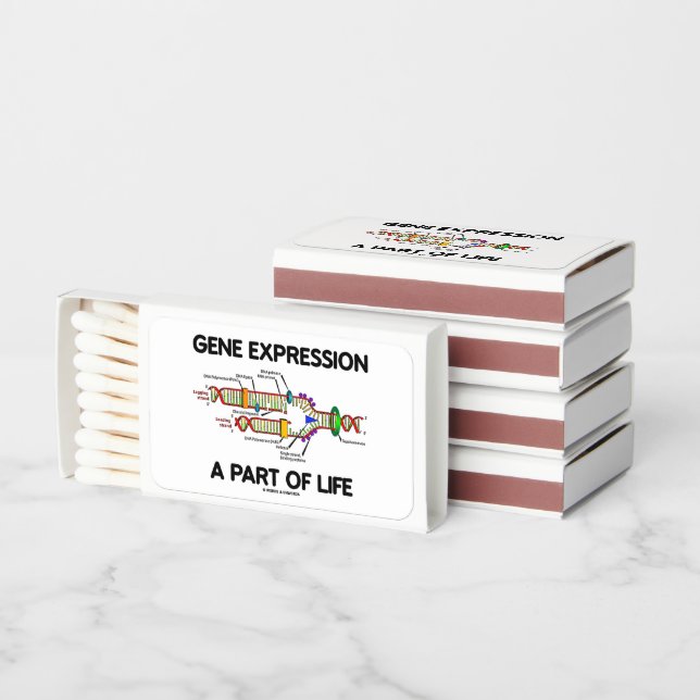 Gene Expression A Part Of Life Genetics Humor Matchboxes (Stacked)