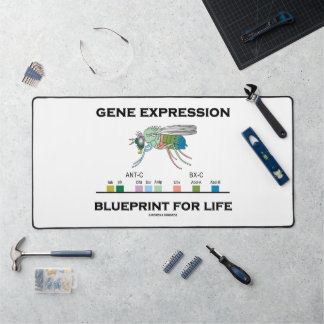Gene Expression Blueprint For Life Homeobox Genes Desk Mat